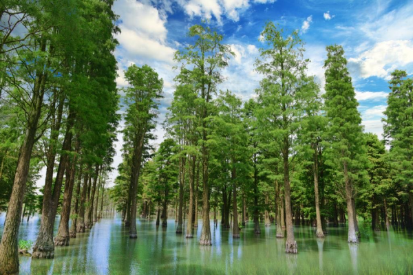 中国配资网 毛不易、欧阳靖空降！来2025上海青浦水岸音乐节，解锁吃喝玩乐新玩法