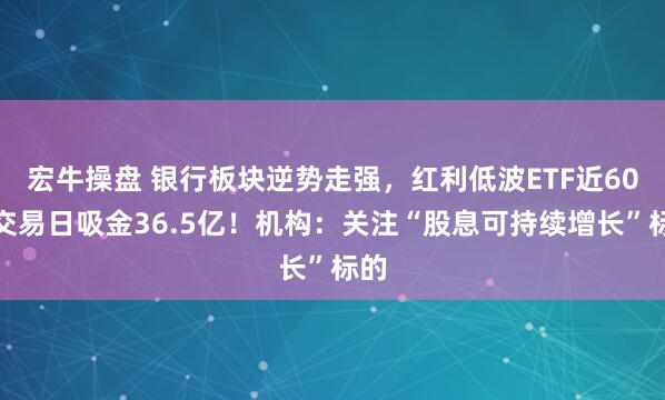 宏牛操盘 银行板块逆势走强，红利低波ETF近60个交易日吸金36.5亿！机构：关注“股息可持续增长”标的